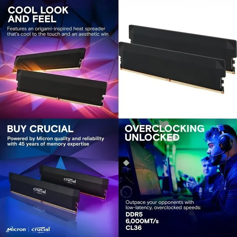 Ddr5 6000Mhz - AMD EXPO DDR5 32GB Kit 16GBx2